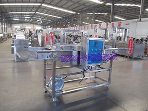 【大洋生產雞排掛漿機品牌/圖片/價格_上漿機詳細參數】- 